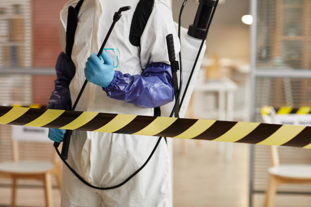 Professional Sewage Cleanup technician working in Travis Afb, CA